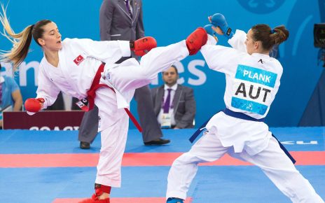 Mengenal Lebih Dalam Tentang Federasi Karate Ontario